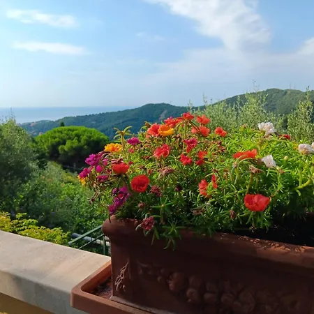 Tramonti E Mare, Vista Mare Giardino, La Casa Che In Ogni Stagione Si Trasforma! アパート チェッレ・リーグレ