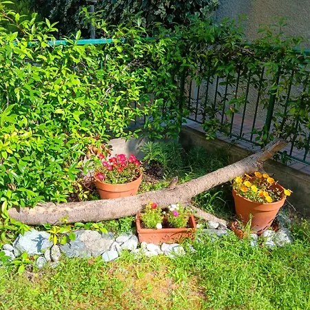 Tramonti E Mare, Vista Mare Giardino, La Casa Che In Ogni Stagione Si Trasforma! アパート