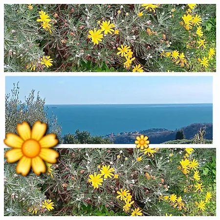 アパート Tramonti E Mare, Vista Mare Giardino, La Casa Che In Ogni Stagione Si Trasforma! *