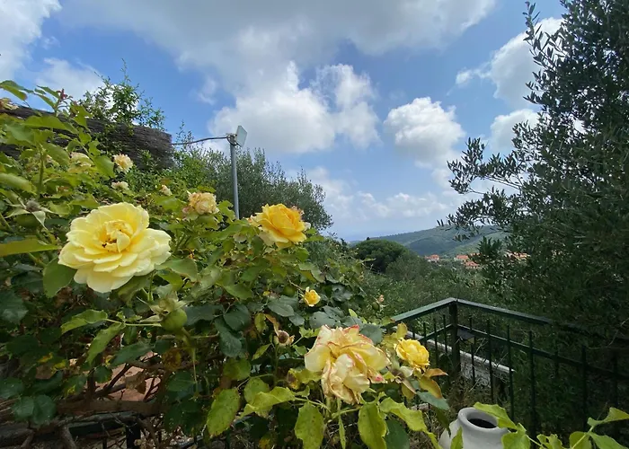 Tramonti E Mare, Vista Mare Giardino, La Casa Che In Ogni Stagione Si Trasforma!