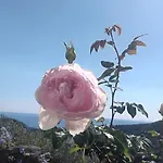 Tramonti E Mare, Vista Mare Giardino, La Casa Che In Ogni Stagione Si Trasforma! Lägenhet *