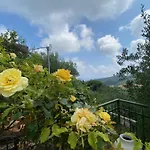 Tramonti E Mare, Vista Mare Giardino, La Casa Che In Ogni Stagione Si Trasforma!
