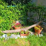 Tramonti E Mare, Vista Mare Giardino, La Casa Che In Ogni Stagione Si Trasforma! Lägenhet