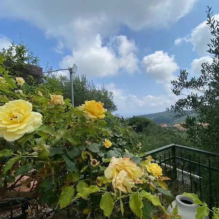 Tramonti E Mare, Vista Mare Giardino, La Casa Che In Ogni Stagione Si Trasforma!