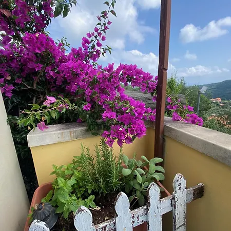 Tramonti E Mare, Vista Mare Giardino, La Casa Che In Ogni Stagione Si Trasforma! *