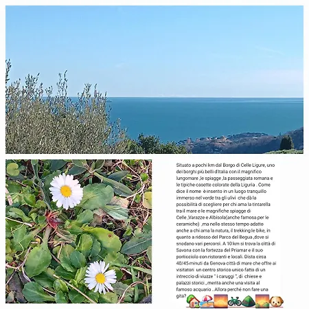 Tramonti E Mare, Vista Mare Giardino, La Casa Che In Ogni Stagione Si Trasforma! * Celle Ligure