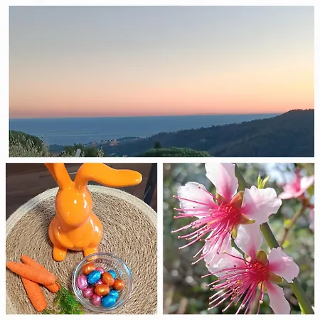 Tramonti E Mare, Vista Mare Giardino, La Casa Che In Ogni Stagione Si Trasforma! Apartmán