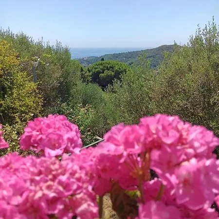 Tramonti E Mare, Vista Mare Giardino, La Casa Che In Ogni Stagione Si Trasforma! *