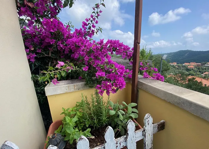 Tramonti E Mare, Vista Mare Giardino, La Casa Che In Ogni Stagione Si Trasforma! *