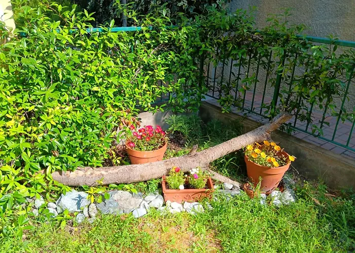 Tramonti E Mare, Vista Mare Giardino, La Casa Che In Ogni Stagione Si Trasforma! Апартаменты